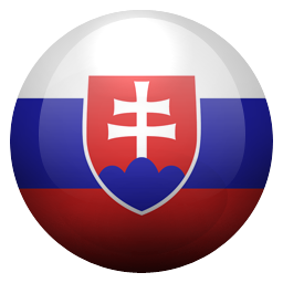 sk icon