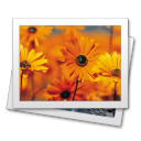 jpg,jpeg icon