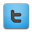 blue icon