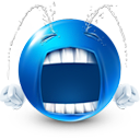 13 icon