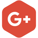 connection, google, media, plus, share, social, yumminky svg vector icon