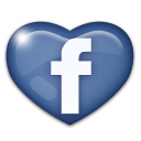 facebook,social,social network,sn icon