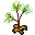 tree,plant icon
