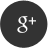 google icon