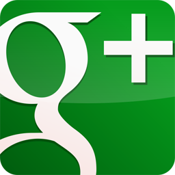 googleplus,gloss,green icon