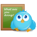 8, bird, twitter icon