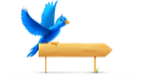 bird, sign, twitter icon