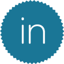 linkedin icon