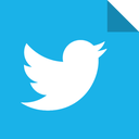 bird, social, tweet, twitter icon