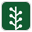 newsvine icon