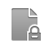 document,lock icon