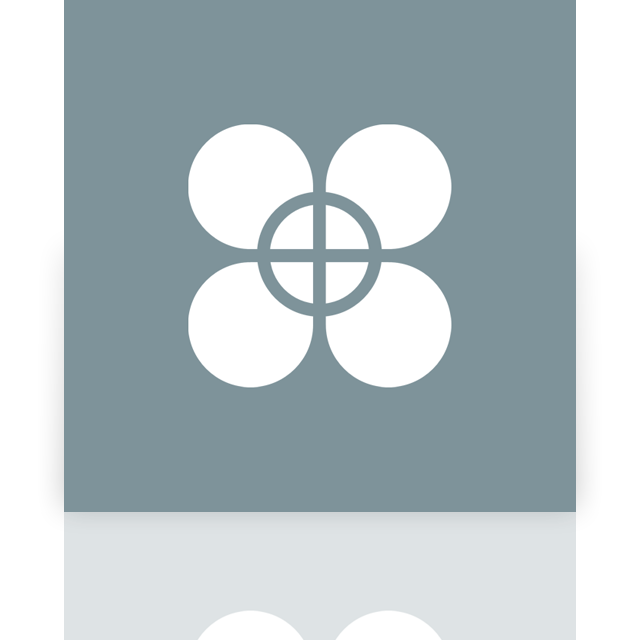 lightworks,mirror icon