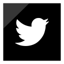 logo, media, social, twitter svg vector icon