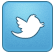 twitter icon