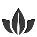 25 icon