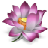 icq,flower,lotus,oriental,pink,plant icon