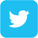 bird, logo, logotype, twitter svg vector icon