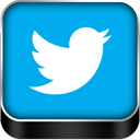twitter icon