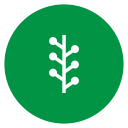 newsvine svg vector icon