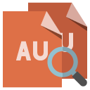 file,format,zoom icon