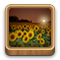 photo,alt icon