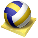 beach,volley icon