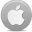 apple icon