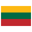 lt icon