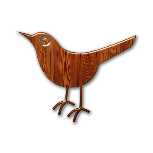 twitter,bird,animal,social network,social,sn icon