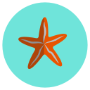 favorite, ocean, sea, star svg vector icon