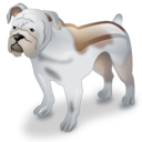 bulldog, dog, pet icon