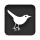 bird, square, twitter icon