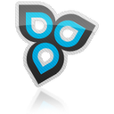 custom icon