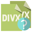 file,format,divx,help icon