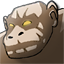 igoo icon
