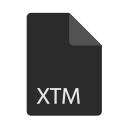 extension, file, format, xtm svg vector icon