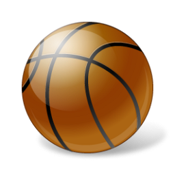 basketball,ball,sport icon