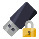 pen,drive,lock icon