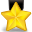 award icon