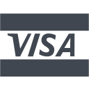 banking, credit, currency, financial, money, order, payment, price, shopping, visa, visa card svg vector icon