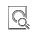 preview,zoom icon