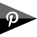 logo, media, pinterest, social svg vector icon