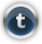 tumblr icon