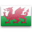 wales icon