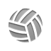 ball,volleyball icon