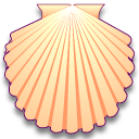 patinopecten,caurinus icon