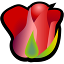 rose icon