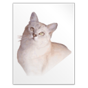 gf icon
