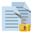 copy,lock icon