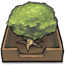tree,inbox icon